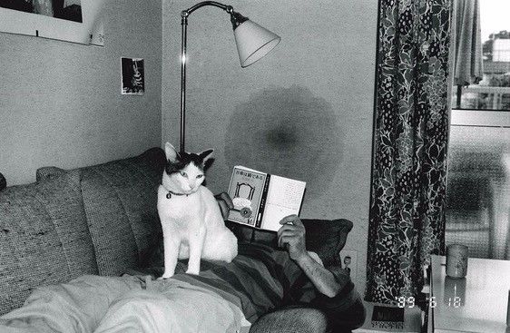 保持呼吸 推荐视频