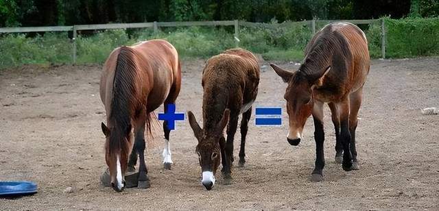 你的样子 视频封面