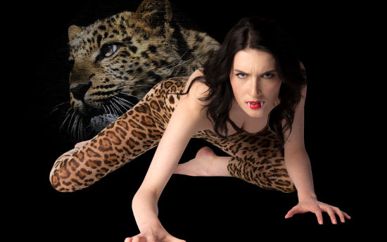 从暗处来 推荐视频