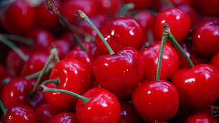 他和她的孤独情事：他 推荐视频