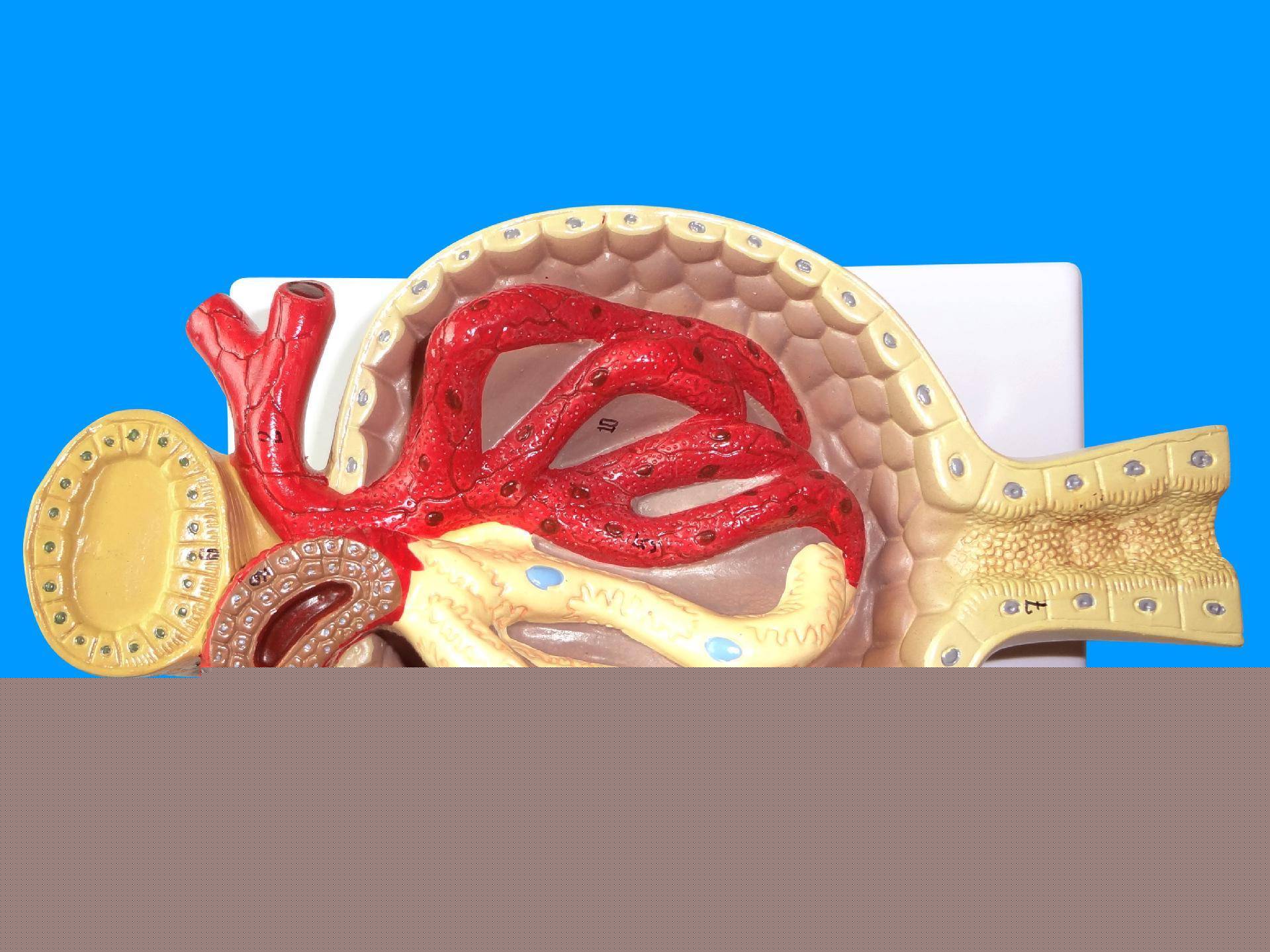 人鱼童话2 产品图片