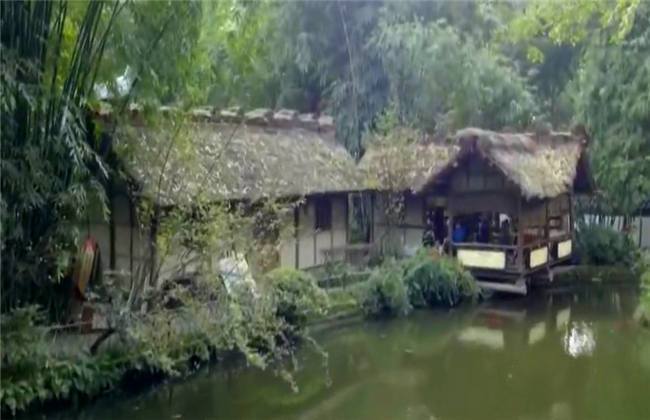 你好布拉德 推荐视频