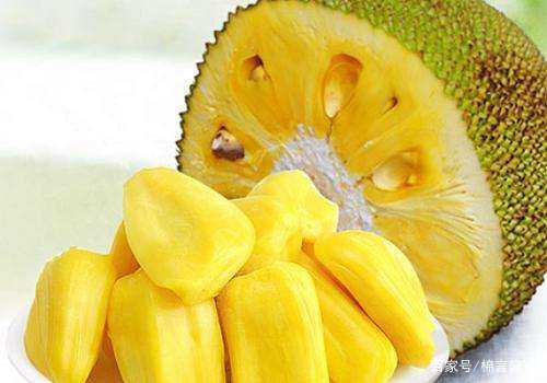 他们叫我吉克 推荐视频