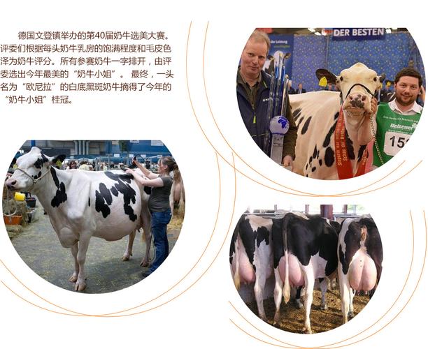 僵尸小屁孩 推荐视频