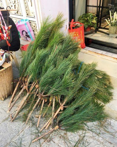 名侦探柯南：沉默的十五分钟 推荐视频