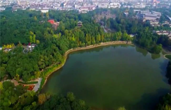 优雅的谎言 视频主图