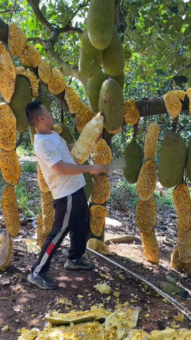 你好，13岁 产品图片