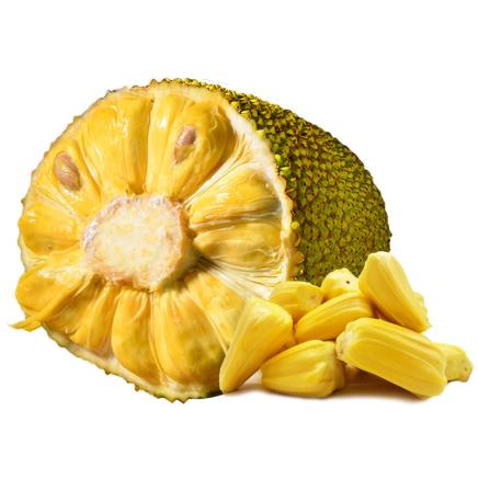 云梦奇缘 视频主图