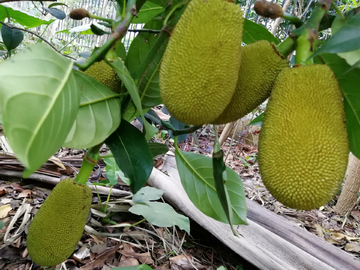 周末时光 推荐视频