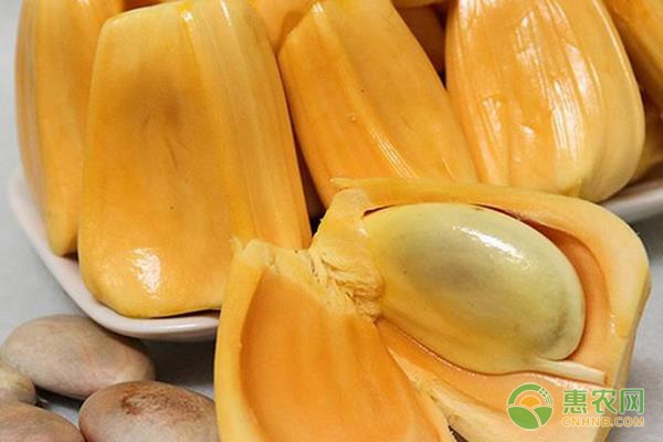 佩德罗·巴拉莫 产品图片