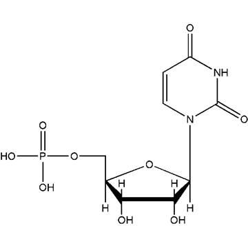 农场小牛牛：偷拍风波 推荐视频