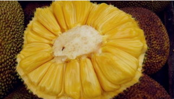 伊丽莎白镇 推荐视频