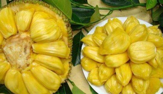 地狱屋起源：卡迈克尔庄园 推荐视频